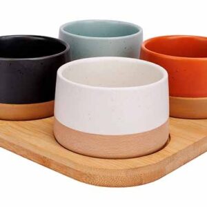 Aperitief set - serveerplank met 4 schaaltjes